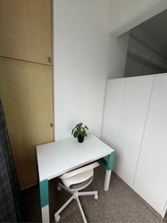 Balestier Plaza (D12), Apartment #492568541